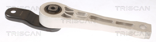 TRISCAN 8505 29182 Lagerung, Motor