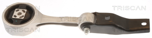 TRISCAN 8505 29183 Lagerung, Motor
