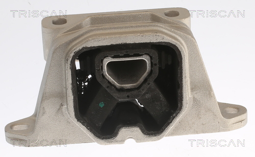 TRISCAN 8505 29184 Lagerung, Motor