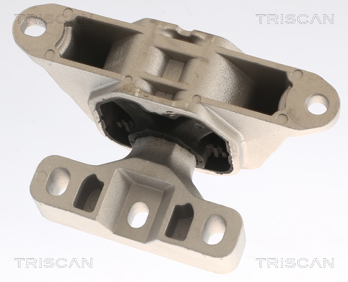 TRISCAN 8505 29184 Lagerung, Motor