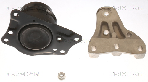 TRISCAN 8505 29185 Lagerung, Motor