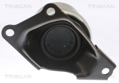 TRISCAN 8505 29186 Lagerung, Motor
