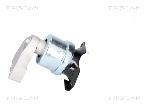 TRISCAN 8505 29186 Lagerung, Motor
