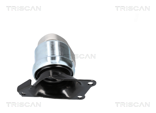 TRISCAN 8505 29186 Lagerung, Motor