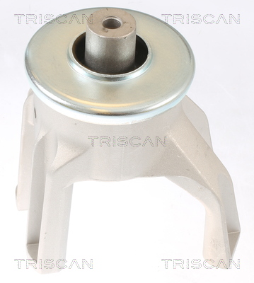 TRISCAN 8505 29187 Lagerung, Motor