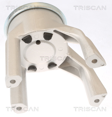 TRISCAN 8505 29187 Lagerung, Motor