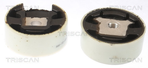 TRISCAN 8505 29188 Lagerung, Motor
