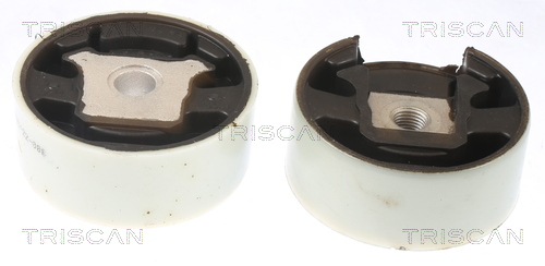 TRISCAN 8505 29188 Lagerung, Motor