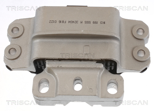 TRISCAN 8505 29189 Lagerung, Motor