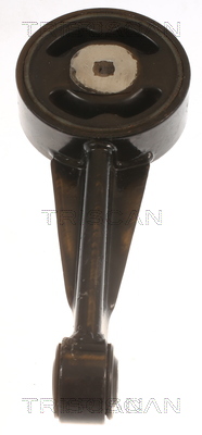 TRISCAN 8505 29190 Lagerung, Motor