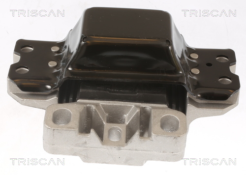 TRISCAN 8505 29191 Lagerung, Motor