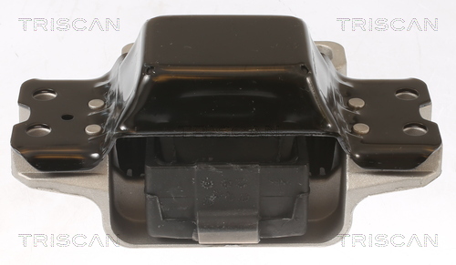 TRISCAN 8505 29191 Lagerung, Motor