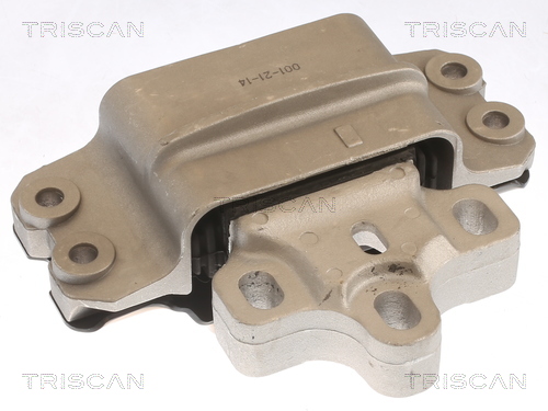 TRISCAN 8505 29192 Lagerung, Motor