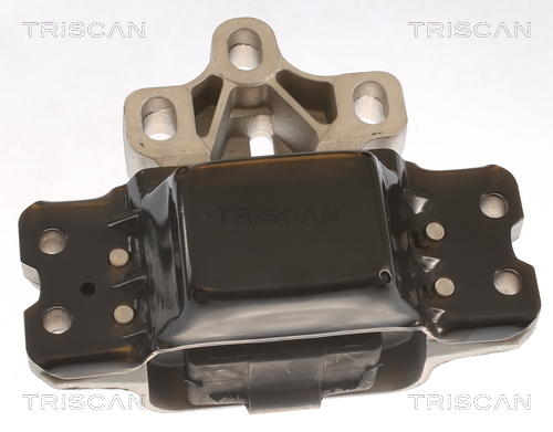 TRISCAN 8505 29192 Lagerung, Motor