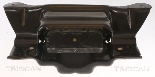 TRISCAN 8505 29193 Lagerung, Motor