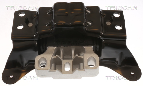 TRISCAN 8505 29194 Lagerung, Motor