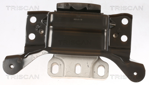 TRISCAN 8505 29194 Lagerung, Motor