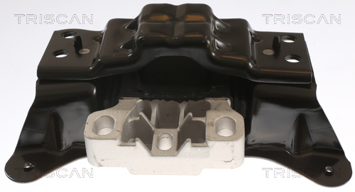 TRISCAN 8505 29195 Lagerung, Motor
