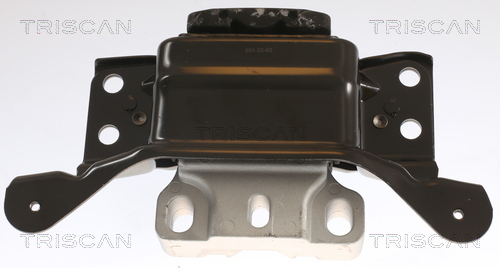 TRISCAN 8505 29195 Lagerung, Motor