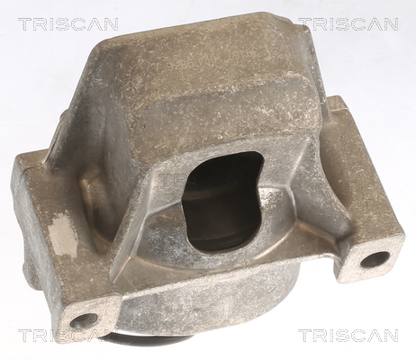 TRISCAN 8505 29196 Lagerung, Motor