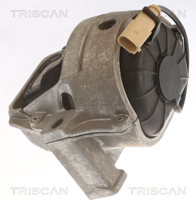 TRISCAN 8505 29196 Lagerung, Motor