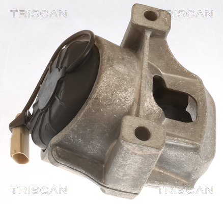 TRISCAN 8505 29196 Lagerung, Motor