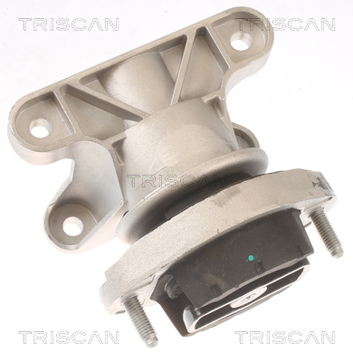 TRISCAN 8505 29202 Lagerung, Automatikgetriebe