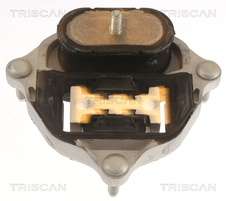 TRISCAN 8505 29216 Lagerung, Automatikgetriebe