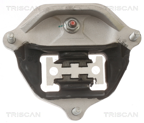 TRISCAN 8505 29218 Lagerung, Automatikgetriebe