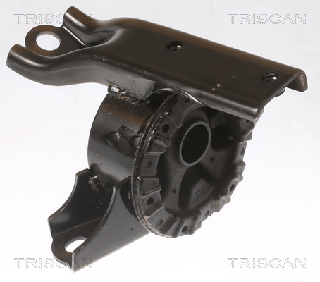 TRISCAN 8505 42100 Lagerung, Motor