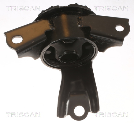 TRISCAN 8505 42100 Lagerung, Motor