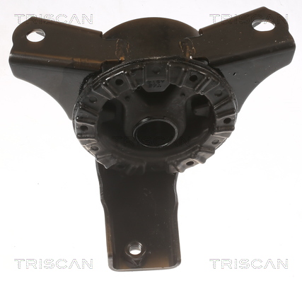 TRISCAN 8505 42100 Lagerung, Motor