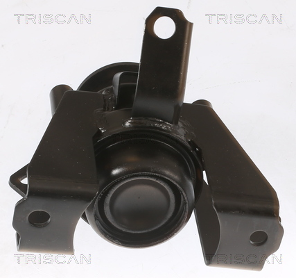 TRISCAN 8505 42101 Lagerung, Motor
