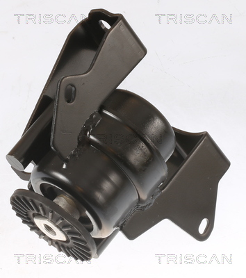 TRISCAN 8505 42101 Lagerung, Motor