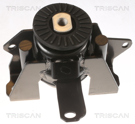 TRISCAN 8505 42101 Lagerung, Motor