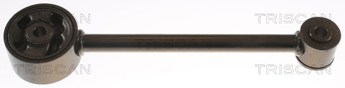 TRISCAN 8505 42102 Lagerung, Motor