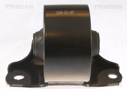 TRISCAN 8505 43100 Lagerung, Motor