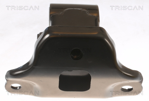 TRISCAN 8505 43100 Lagerung, Motor