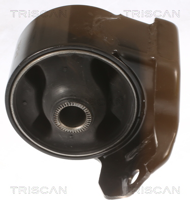 TRISCAN 8505 43100 Lagerung, Motor