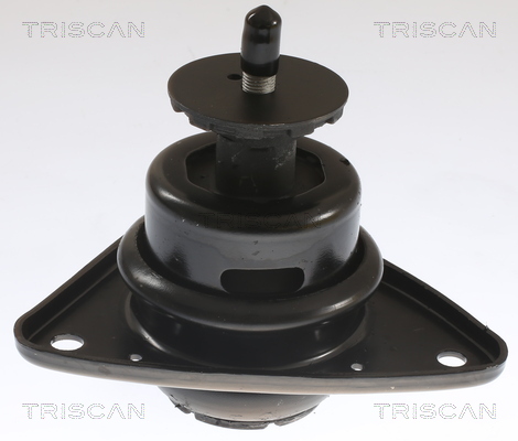 TRISCAN 8505 43101 Lagerung, Motor