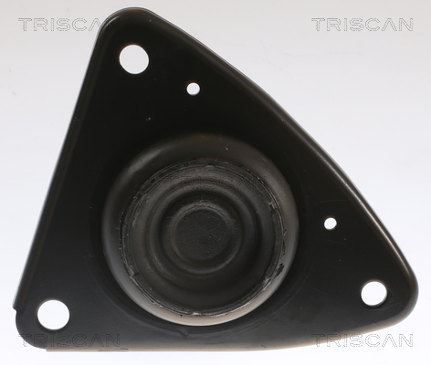 TRISCAN 8505 43101 Lagerung, Motor