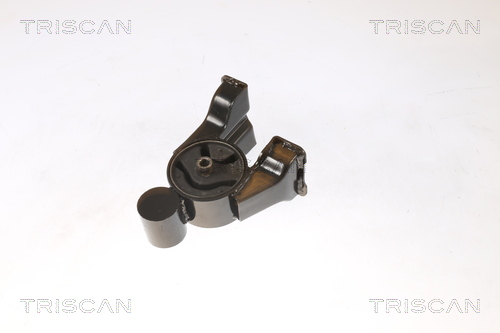 TRISCAN 8505 43102 Lagerung, Motor