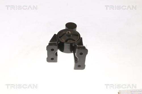 TRISCAN 8505 43102 Lagerung, Motor