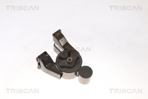 TRISCAN 8505 43102 Lagerung, Motor