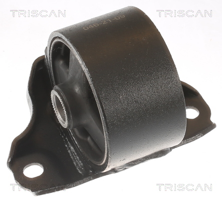TRISCAN 8505 43106 Lagerung, Motor
