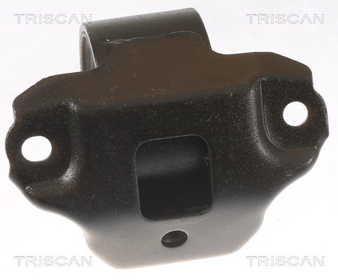 TRISCAN 8505 43106 Lagerung, Motor