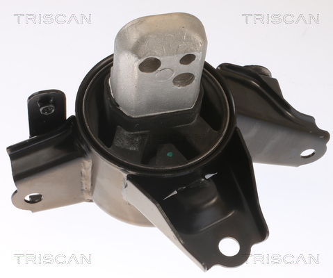 TRISCAN 8505 43107 Lagerung, Motor