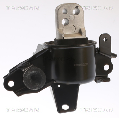 TRISCAN 8505 43107 Lagerung, Motor