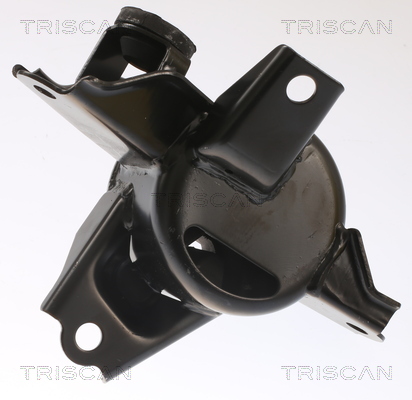 TRISCAN 8505 43107 Lagerung, Motor