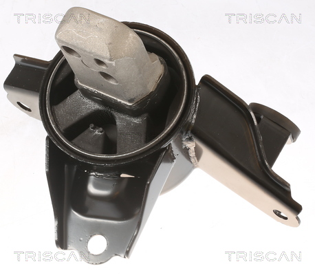 TRISCAN 8505 43108 Lagerung, Motor